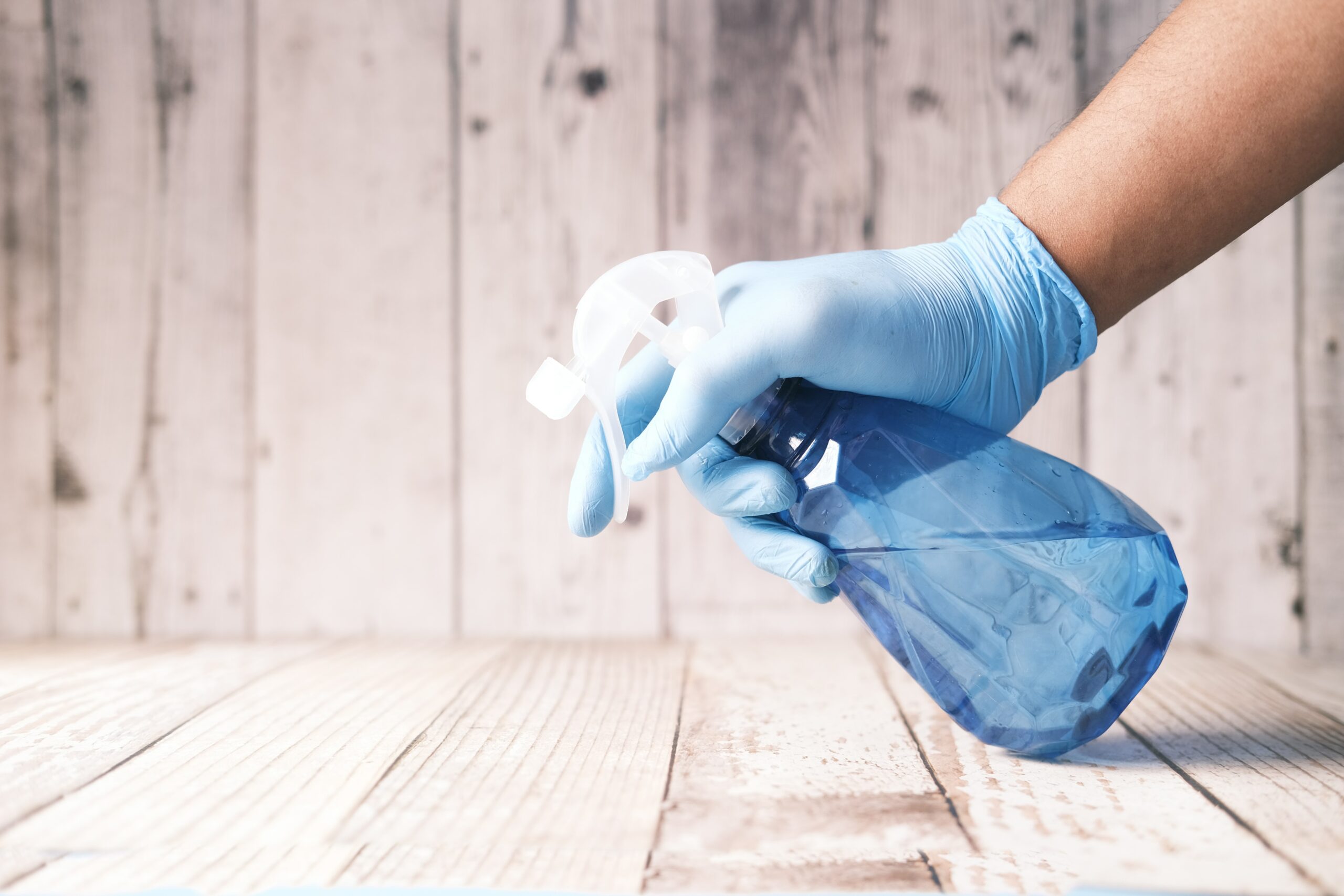 How to Detect & Protect Against Mold in Your Home